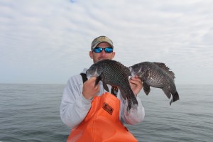 Hilton Head Black Sea Bass Fishing