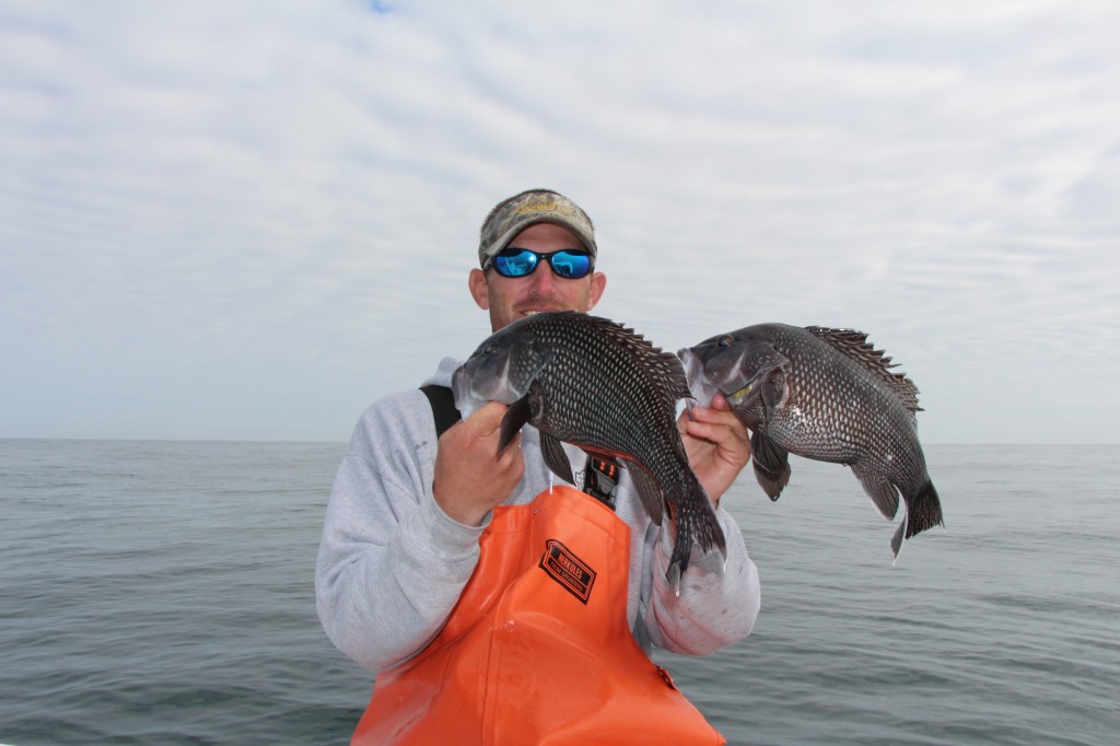 Black Sea Bass Fishing  Hiton Head Fishing Adventures
